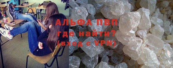 шишки Армянск