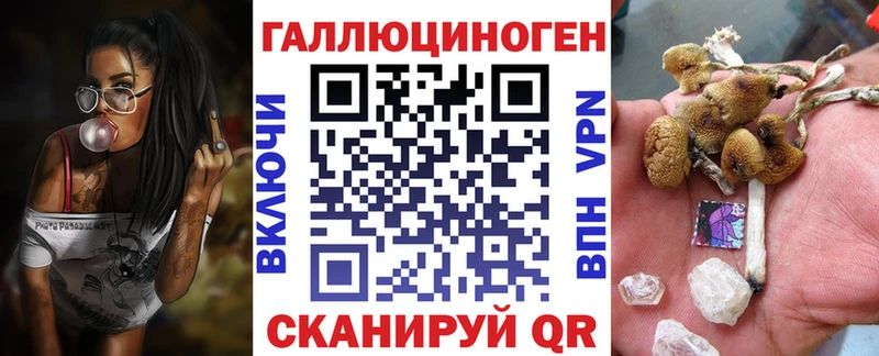 mega ССЫЛКА  Опочка  Псилоцибиновые грибы прущие грибы  где купить наркотик 